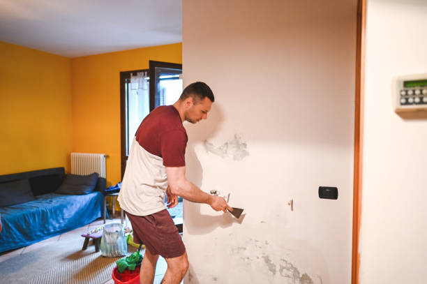 Best Water Damage Restoration  in Woodland Park, CO